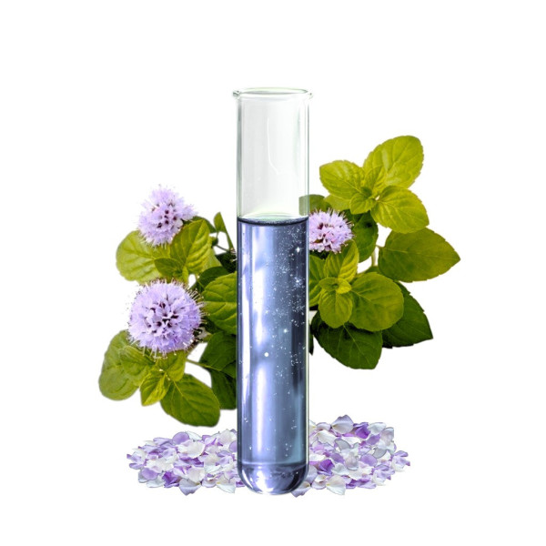 Hydrolat z Melisy 5kg