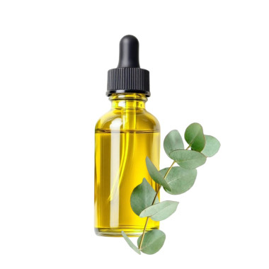 Olejek Eteryczny - Eukaliptus 1kg